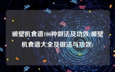 破壁机食谱100种做法及功效(破壁机食谱大全及做法与功效)