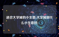 适合大学城的小生意(大学城做什么小生意好)