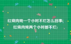 红烧肉炖一个小时不烂怎么回事(红烧肉炖两个小时都不烂)
