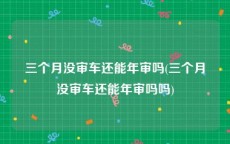 三个月没审车还能年审吗(三个月没审车还能年审吗吗)