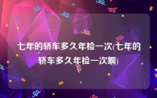 七年的轿车多久年检一次(七年的轿车多久年检一次啊)