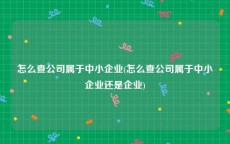 怎么查公司属于中小企业(怎么查公司属于中小企业还是企业)