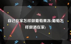 自己在家怎样做葡萄果冻(葡萄怎样做酒在家)