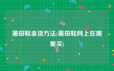 莆田鞋拿货方法(莆田鞋网上在哪里买)