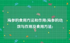 海参的食用方法和作用(海参的功效与作用及食用方法)