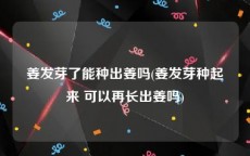 姜发芽了能种出姜吗(姜发芽种起来 可以再长出姜吗)