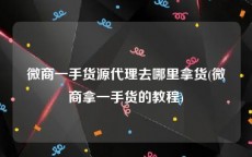 微商一手货源代理去哪里拿货(微商拿一手货的教程)