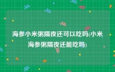 海参小米粥隔夜还可以吃吗(小米海参粥隔夜还能吃吗)