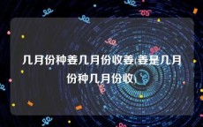 几月份种姜几月份收姜(姜是几月份种几月份收)