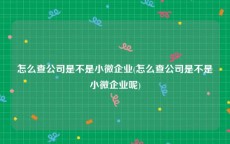 怎么查公司是不是小微企业(怎么查公司是不是小微企业呢)