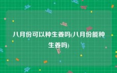 八月份可以种生姜吗(八月份能种生姜吗)