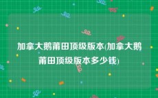 加拿大鹅莆田顶级版本(加拿大鹅莆田顶级版本多少钱)