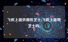 飞机上提供哪些芝士(飞机上能带芝士吗)
