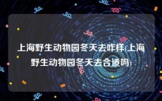 上海野生动物园冬天去咋样(上海野生动物园冬天去合适吗)
