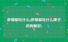 萨摩耶吃什么(萨摩耶吃什么牌子的狗粮好)
