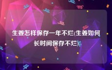 生姜怎样保存一年不烂(生姜如何长时间保存不烂)
