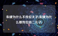 朱棣为什么不传位太子(朱棣为什么要传位给二儿子)