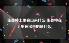 生姜种土里会出来什么(生姜种在土里长出来的是什么)