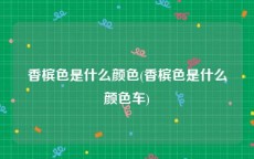 香槟色是什么颜色(香槟色是什么颜色车)