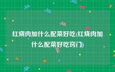 红烧肉加什么配菜好吃(红烧肉加什么配菜好吃窍门)