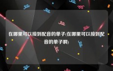 在哪里可以接到配音的单子(在哪里可以接到配音的单子啊)