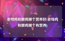 老母鸡和嫩鸡哪个营养好(老母鸡和嫩鸡哪个有营养)