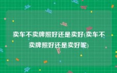 卖车不卖牌照好还是卖好(卖车不卖牌照好还是卖好呢)