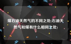 煤石油天然气的不同之处(石油天然气和煤有什么相同之处)