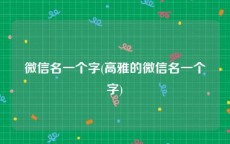 微信名一个字(高雅的微信名一个字)