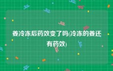 姜冷冻后药效变了吗(冷冻的姜还有药效)