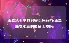 生姜洗发水真的会长头发吗(生姜洗发水真的能长头发吗)