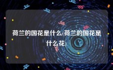 荷兰的国花是什么(荷兰的国花是什么花)
