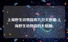 上海野生动物园有几只大熊猫(上海野生动物园的大熊猫)