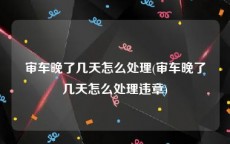 审车晚了几天怎么处理(审车晚了几天怎么处理违章)