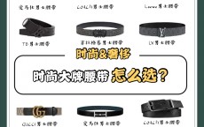 菲拉格慕的皮带怎么样(菲拉格慕皮带多少钱一条)