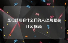 圣母婊形容什么样的人(圣母婊是什么意思)