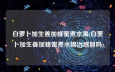 白萝卜加生姜加蜂蜜煮水喝(白萝卜加生姜加蜂蜜煮水喝治感冒吗)