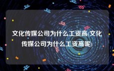 文化传媒公司为什么工资高(文化传媒公司为什么工资高呢)