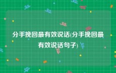分手挽回最有效说话(分手挽回最有效说话句子)