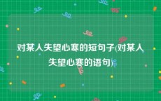 对某人失望心寒的短句子(对某人失望心寒的语句)