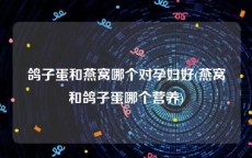 鸽子蛋和燕窝哪个对孕妇好(燕窝和鸽子蛋哪个营养)