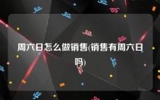 周六日怎么做销售(销售有周六日吗)