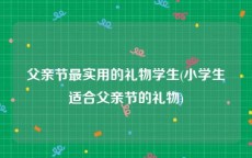 父亲节最实用的礼物学生(小学生适合父亲节的礼物)
