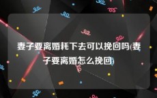 妻子要离婚耗下去可以挽回吗(妻子要离婚怎么挽回)