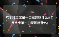 六个月宝宝第一口菜泥吃什么(6个月宝宝第一口菜泥吃什么)