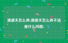 清道夫怎么养(清道夫怎么养不活是什么问题)