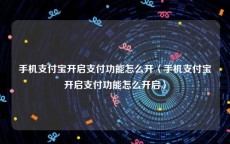 手机支付宝开启支付功能怎么开〈手机支付宝开启支付功能怎么开启〉