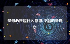 圣母心泛滥什么意思(泛滥的圣母心)