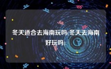 冬天适合去海南玩吗(冬天去海南好玩吗)