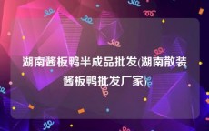 湖南酱板鸭半成品批发(湖南散装酱板鸭批发厂家)